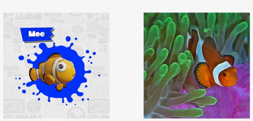 Moe - Iposters Clownfish & Sea Anemones Tropical Marine, transparent png