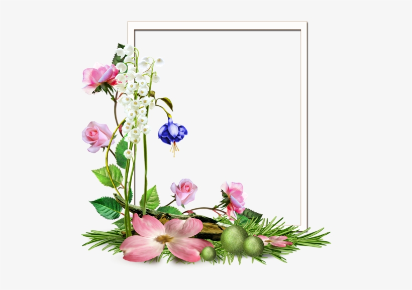 Pin By Slgudiel On Wallpapers And More - Delphinium, transparent png