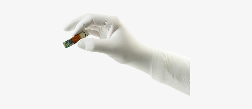 Our Gloves - Hand With Glove Png, transparent png