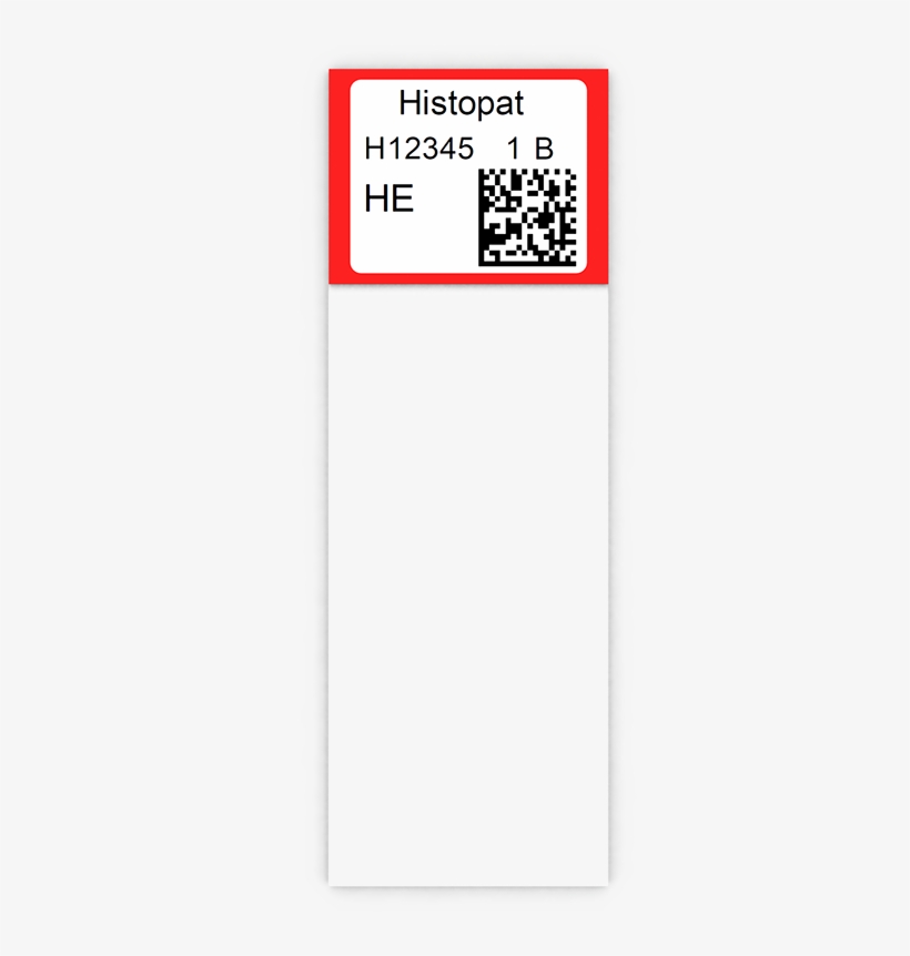 Microscope Slide Imprinted With Slidebel Printer - Microscope, transparent png