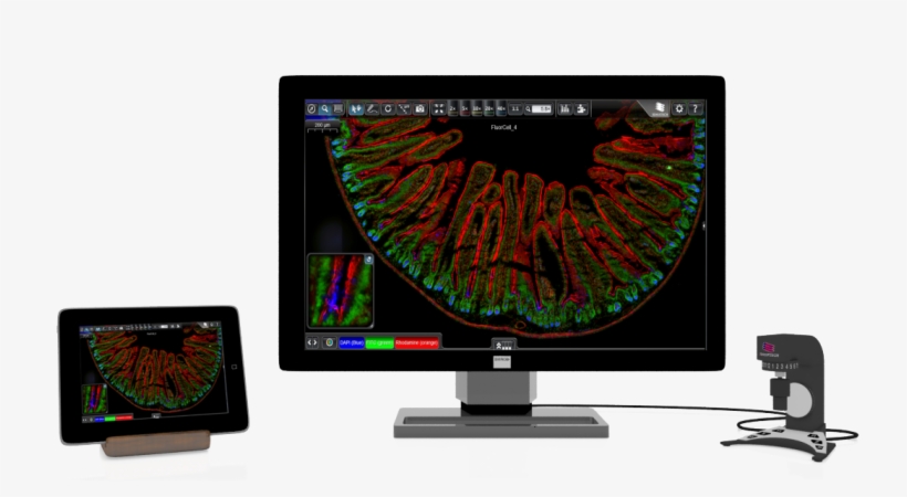Nine Slides Of A Case On A Single Screen - Case Viewer, transparent png
