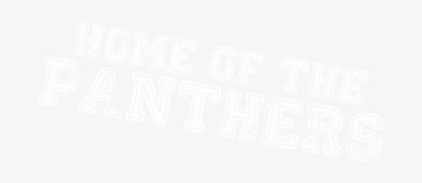 Home Of Panthers - 3 Cool Fätze (live Im Sportpark Klever) Dvd, transparent png
