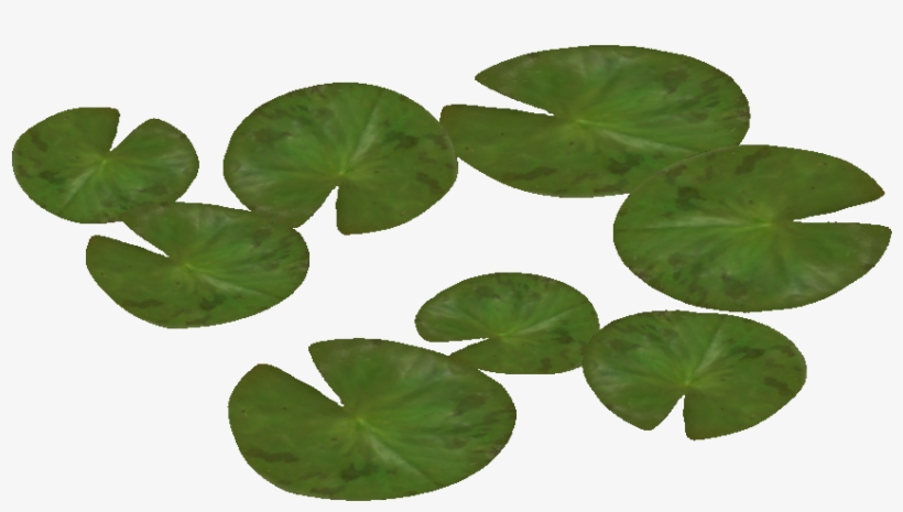 6 Backgrounds, A-736086004, Flowers, Water - Waterlily Png, transparent png