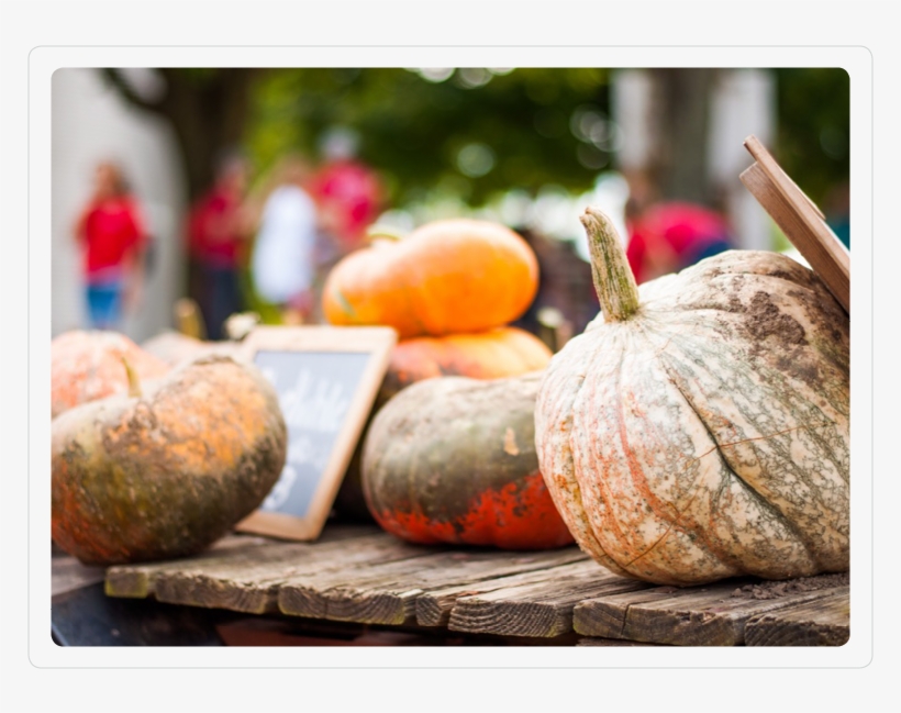 Our Pumpkins - Portable Network Graphics, transparent png