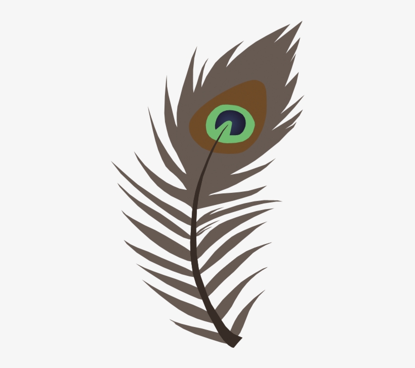 Peacock Feather Vector Png - Feather, transparent png