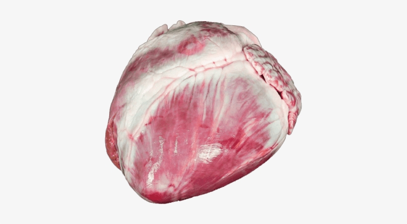Heart, transparent png