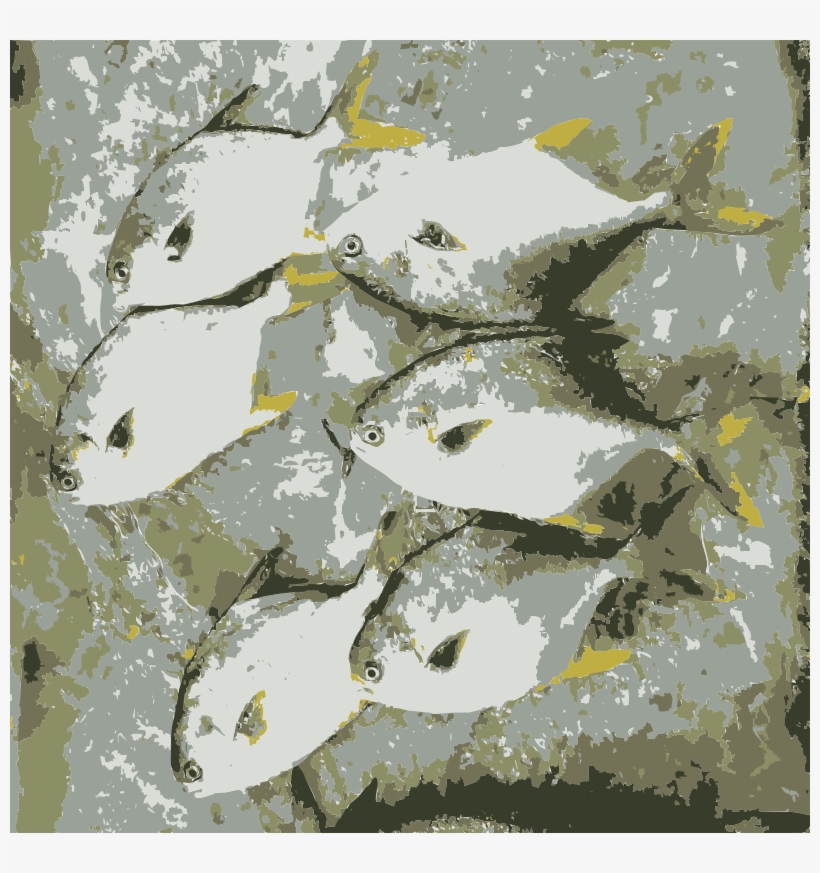 Get Notified Of Exclusive Freebies - Fish, transparent png