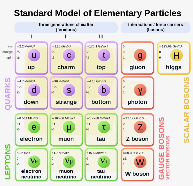 Standard Model Of Elementary Particles - Subatomic Particles ...