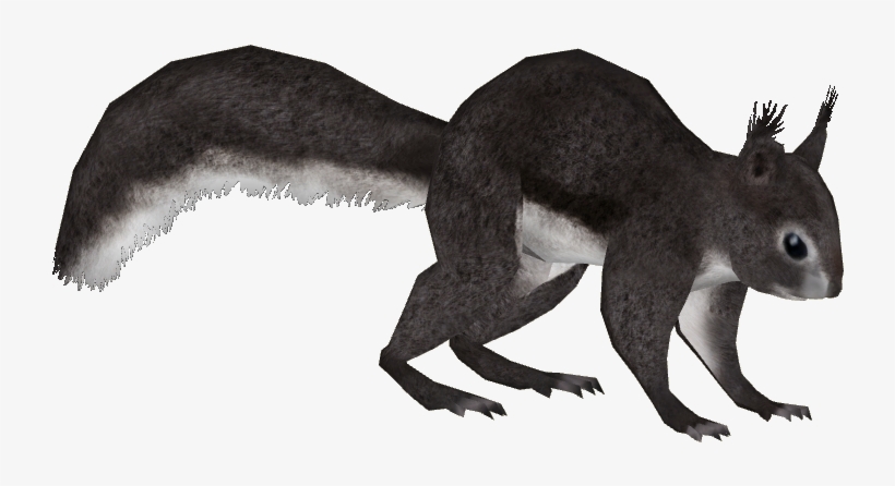 Abert's Squirrel 2 - Abert's Squirrel Png, transparent png