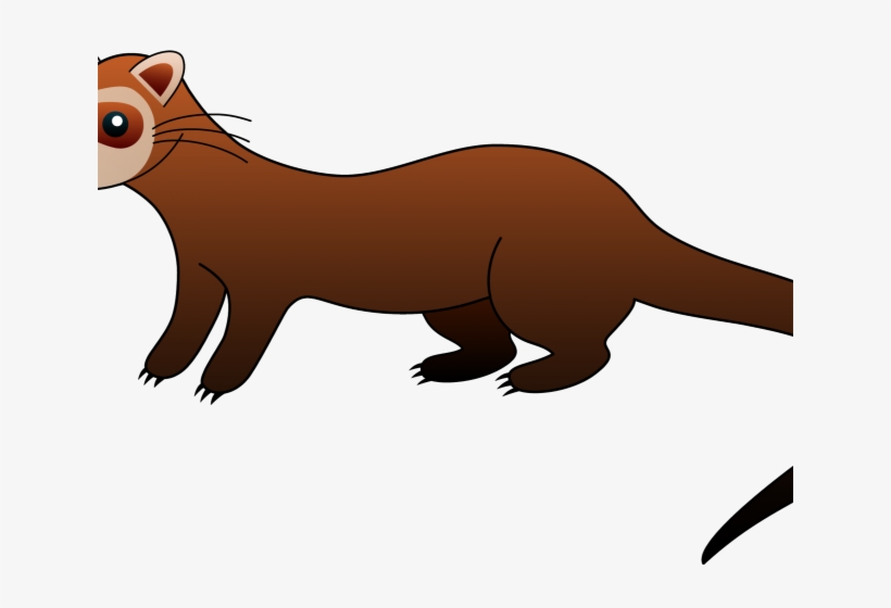 Ferret Clipart Weasel - Black Footed Ferret Clipart, transparent png