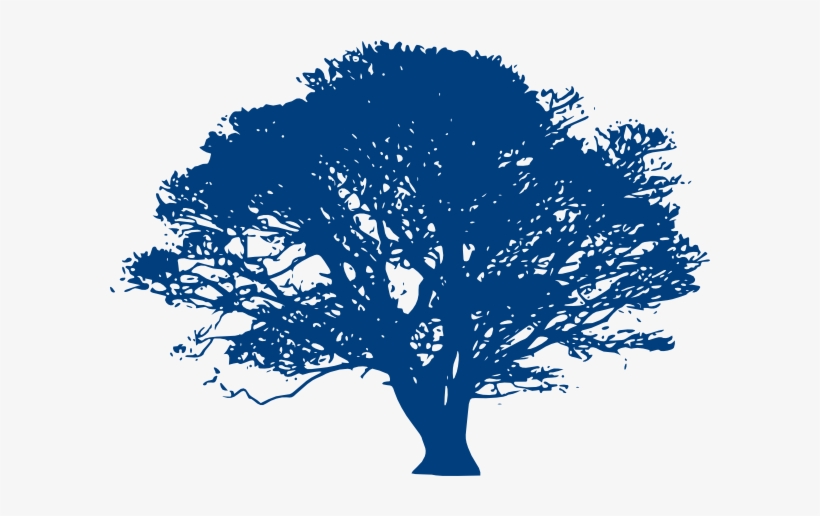 Olive Tree Black And White, transparent png