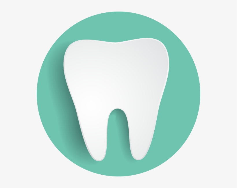 Tooth - Illustration, transparent png
