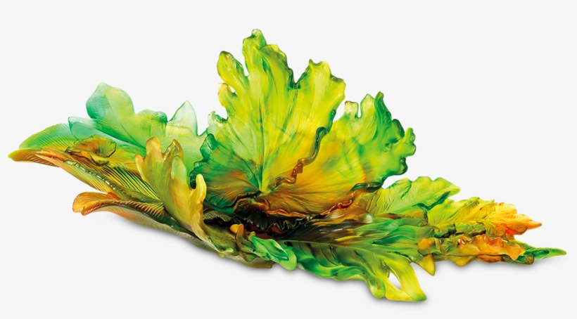 Centre De Table Magnum Borno, transparent png
