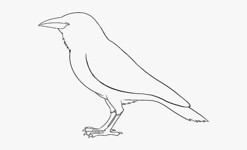 Clip How To Draw A - Drawing, transparent png
