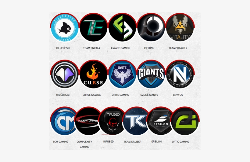 Ertghgf Call Of Duty Pro Teams Logos 496x453 Png Download Pngkit