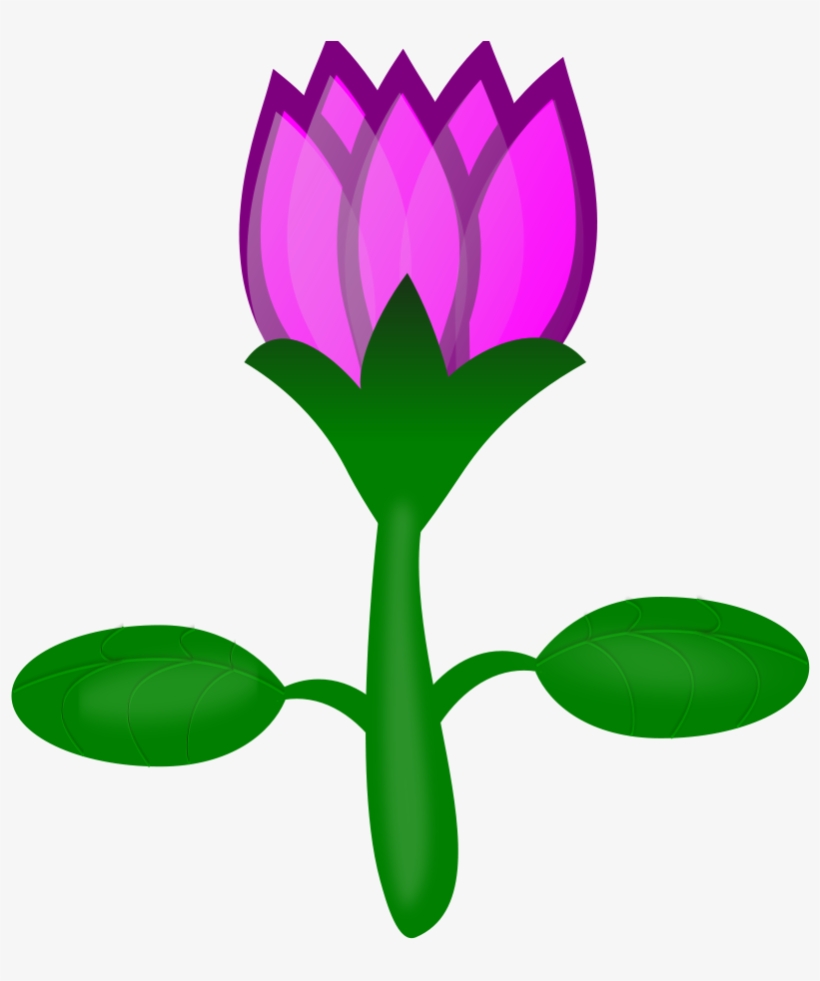 How To Set Use Lotus Clipart, transparent png