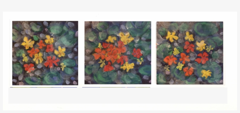 Nasturtiums 756 - Tropical Milkweed, transparent png