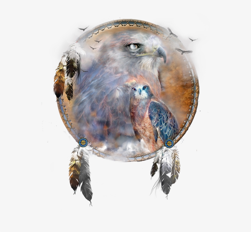 Click And Drag To Re-position The Image, If Desired - Spirit Of The Hawk, transparent png