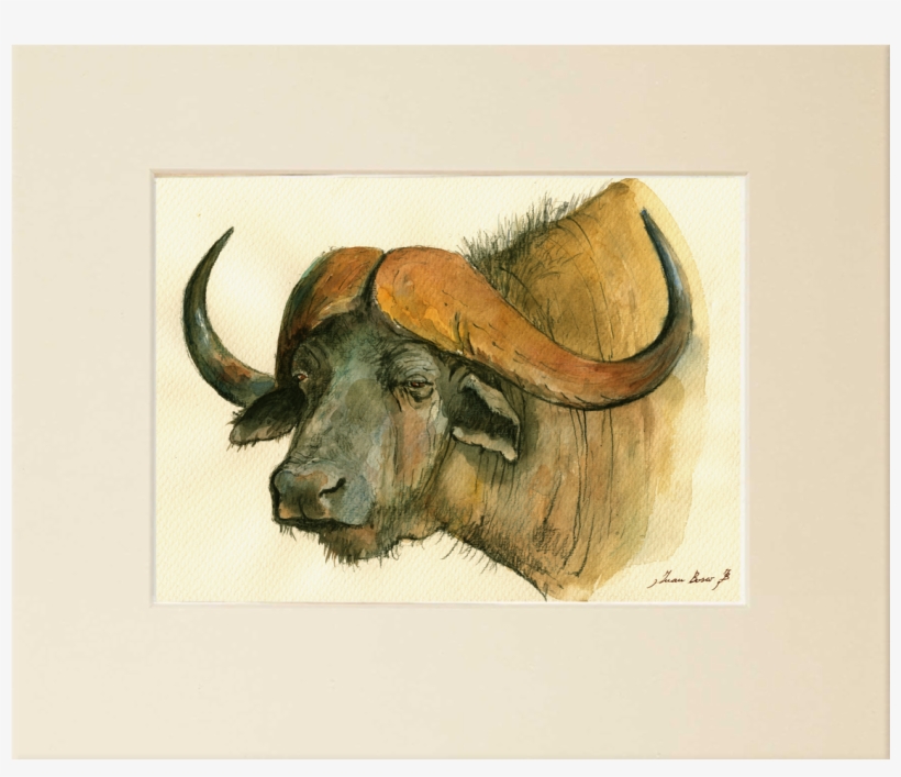 11x8" Inches - " - African Big 5 Drawings, transparent png