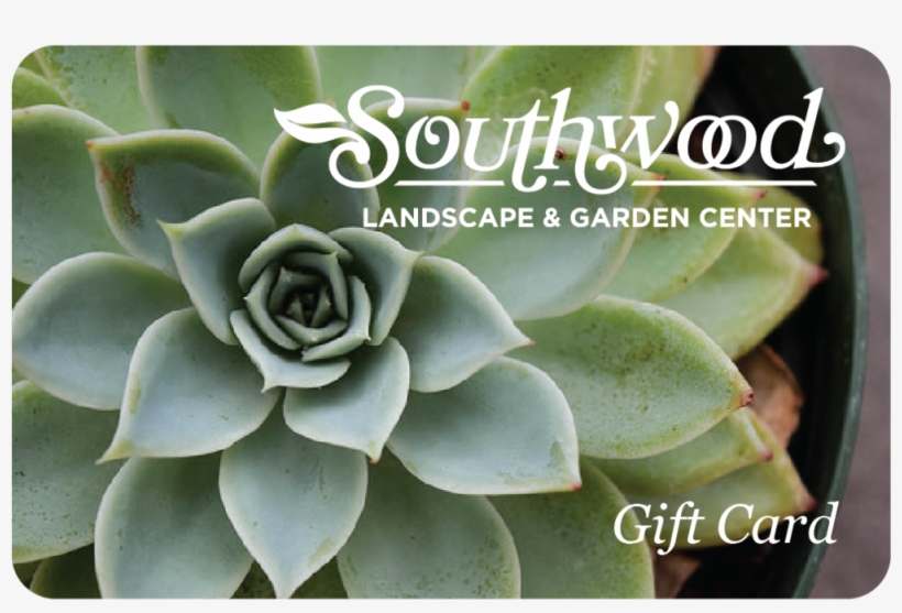 Succulent Gift Card, transparent png