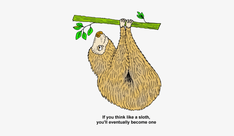 Image If You Think Like A Sloth Youll Eventually Become - Sloth Clip Art, transparent png