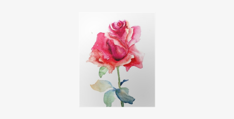 Flower, transparent png
