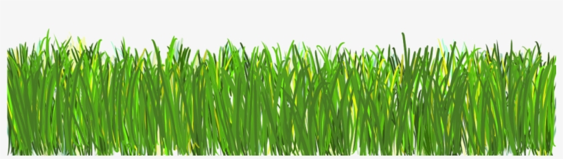 Designs Png - Cesped Png, transparent png