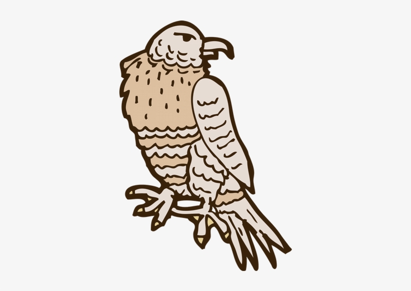 Bald Eagle - 0shares - Imagens De Falcão Em Desenhos Animados, transparent png