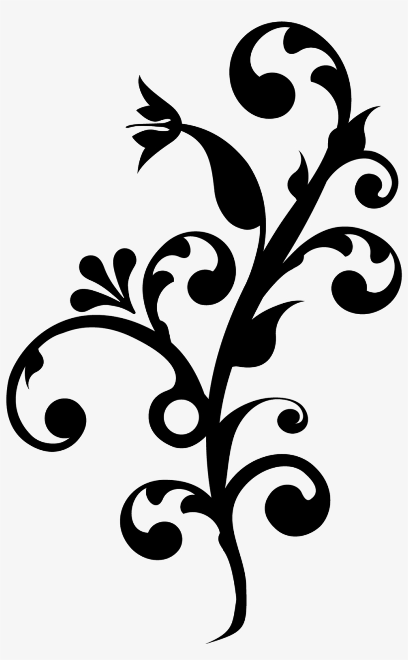 Floral Png - Floral, transparent png