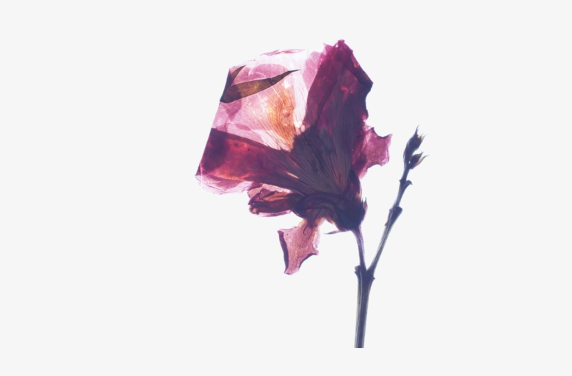 05-720x480 - Crystal, transparent png