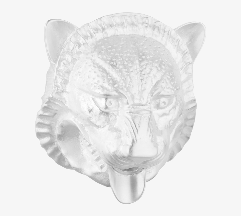 Wall Mounted Lion's Head For Fountain, Large Size - Jaguar, transparent png