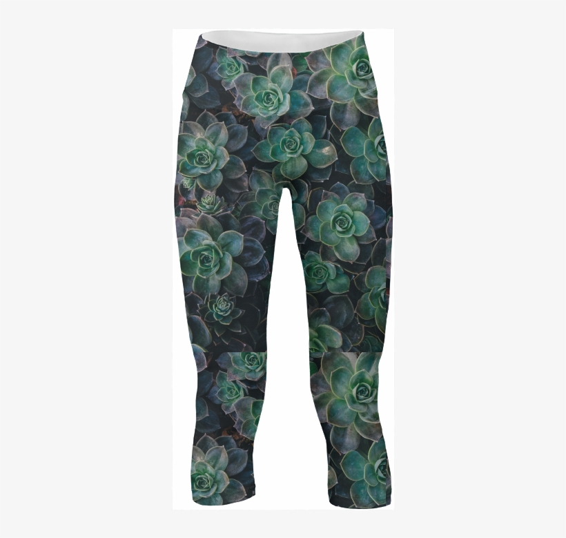 Succulent Yoga Pants $65 - Succulent Plant, transparent png