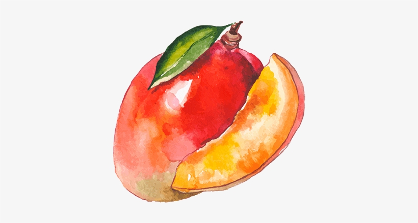 Chardonnay Chardonnay - Seedless Fruit, transparent png