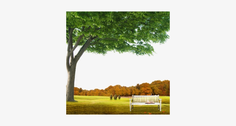 Garden Background Scene With Natural Background, Garden, - Poster, transparent png