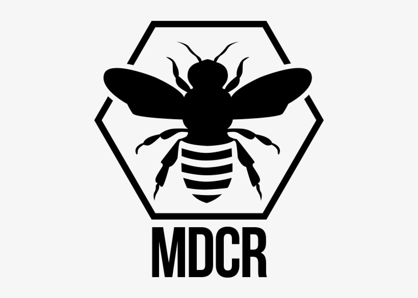 Collections - Bee Bella, transparent png