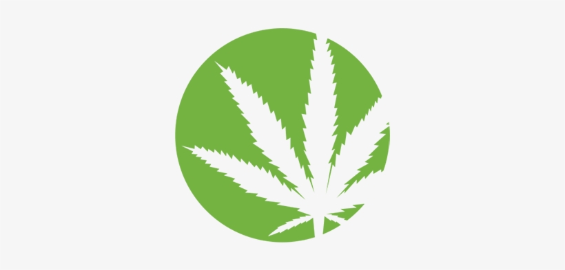 Cannabis - Purple Haze Records Logo, transparent png