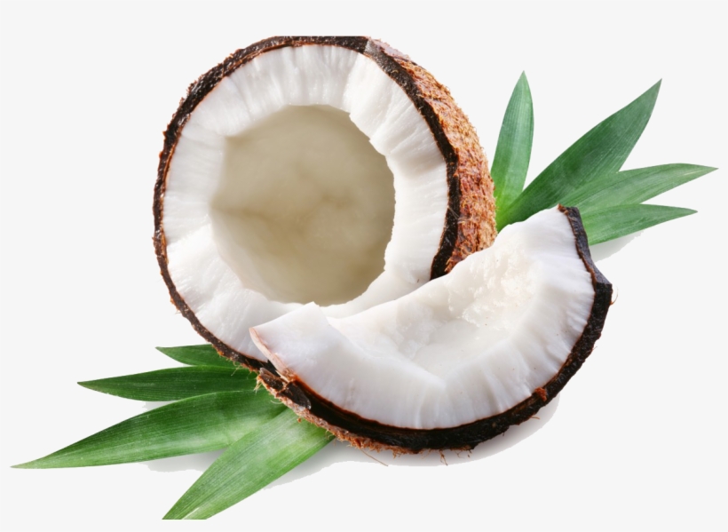 Coconut Clipart Transparent Tumblr - Coconut Png, transparent png