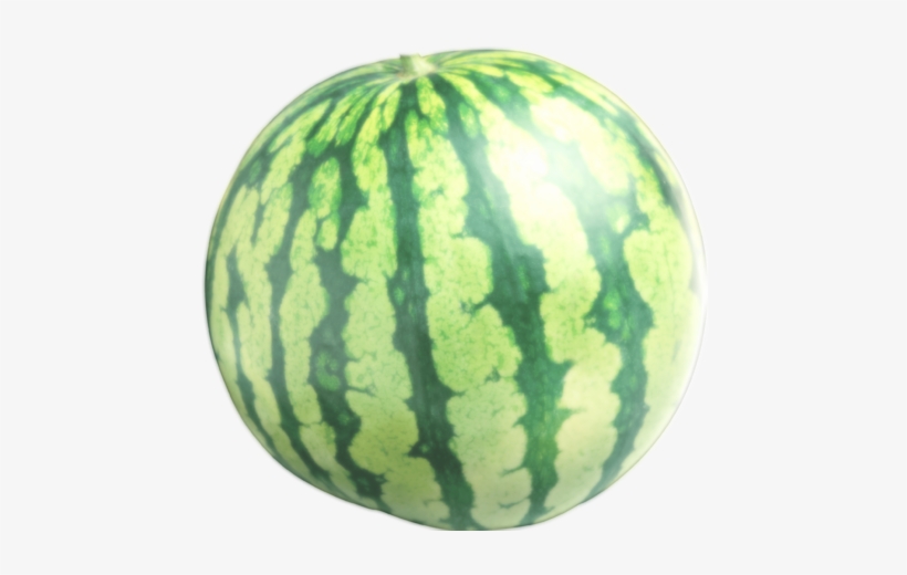 Sacred Watermelon - Watermelon Stud Earrings Fruit Jewelry Hypoallergenic, transparent png