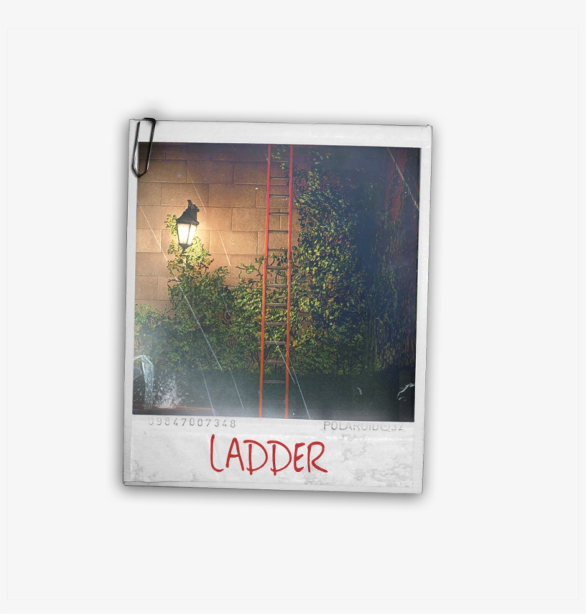 Asset Shacklethorne Ladder - Ladder, transparent png