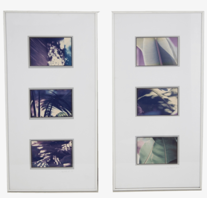Banana Leaves - Picture Frame, transparent png
