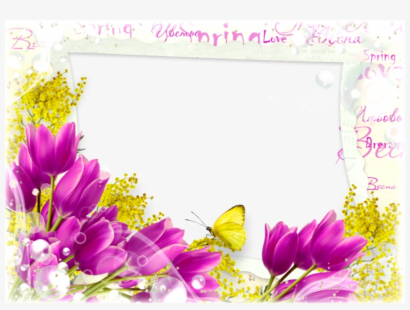 Download Transparent Flower Frame Png Flowers Photo Frames Free