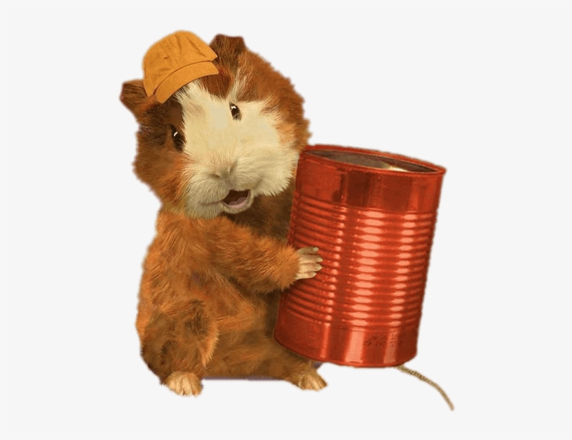 Linny Holding Wonder Pets Telephone Png - Wonder Pets Linny, transparent png
