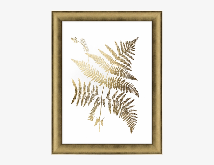 Gold Foil Ferns I - Art Print: Vision Studio's Gold Foil Ferns, transparent png