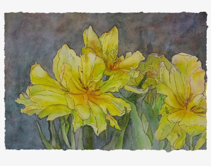 Yellow Double Tulips - Lily, transparent png