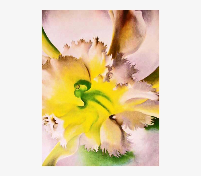 1977 'georgia O'keeffe' Modern Art, Out Of Print, Rare - Georgia O Keeffe, transparent png