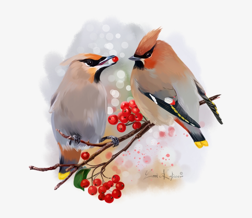 The Waxwing Watercolor Painting - Waxwing, transparent png