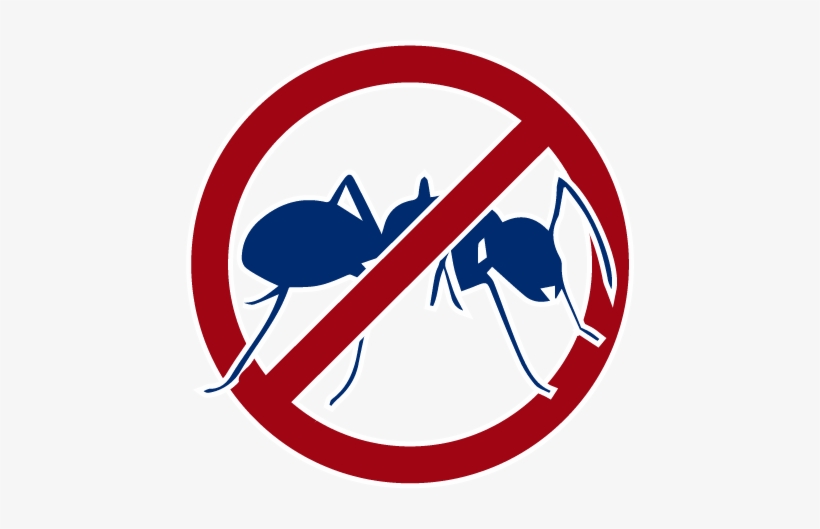 Ants - No To Envy, transparent png