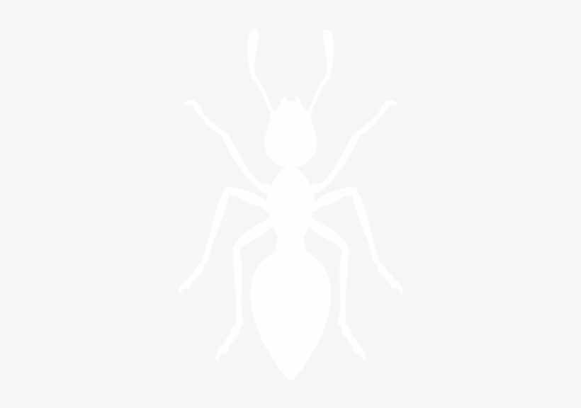 All Pests - White Ant Icon Png, transparent png