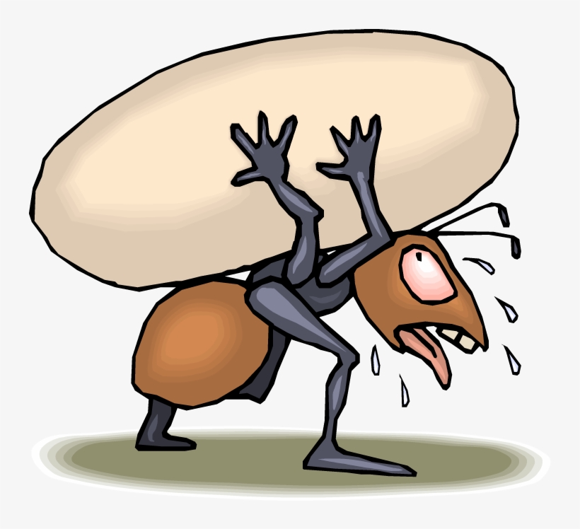 I Happened To Look Down At The Ground Around The Picnic - Hard Working Ant Cartoon, transparent png