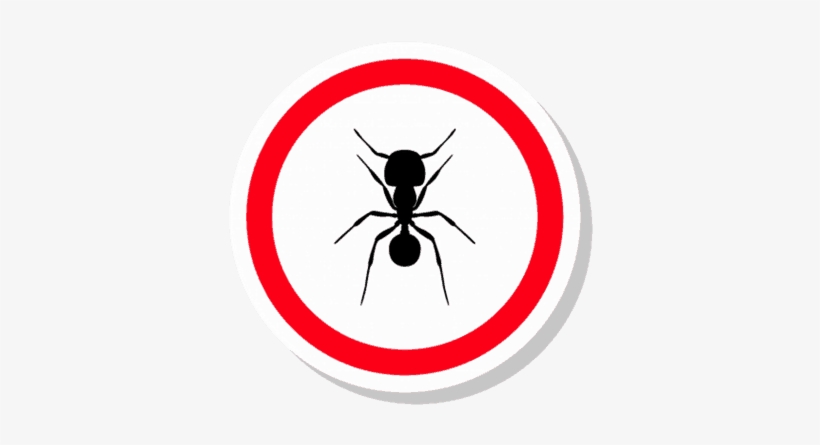Ants - Ant, transparent png